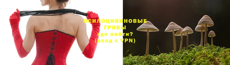 Псилоцибиновые грибы MAGIC MUSHROOMS  Ликино-Дулёво 